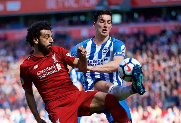 Nhận định Soi Kèo Liverpool vs Brighton: Bắn hạ “Chim mòng biển”