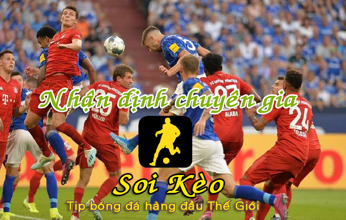 Soi Kèo Schalke - Bayern Munich
