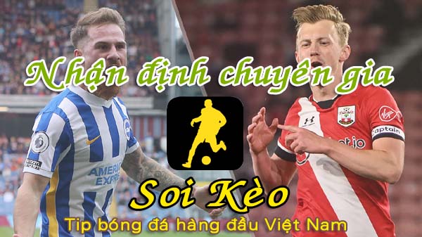 Nhận định Soi Kèo Brighton vs Southampton: Trắng tay ra về