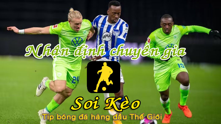 Soi Kèo Hertha Berlin - Wolfsburg