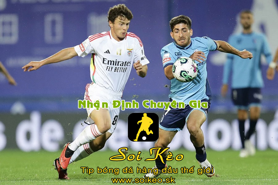 Soi Kèo tip bóng đá Benfica - Toulouse