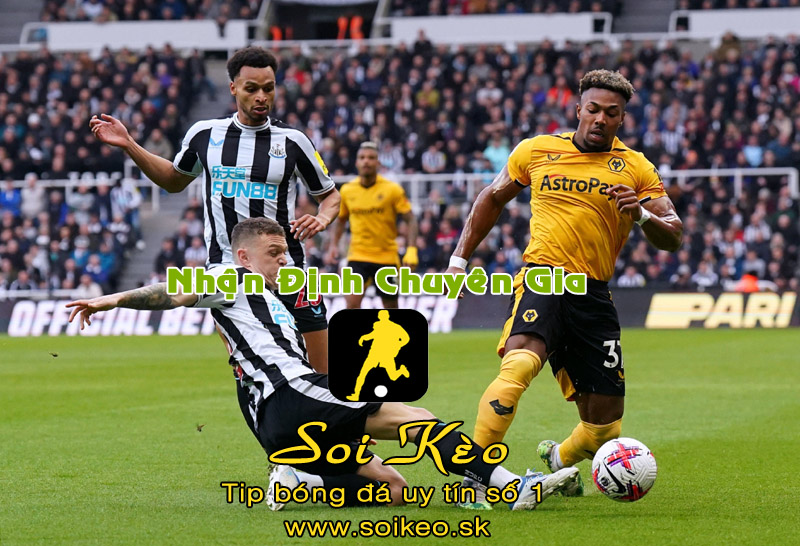 Soi Kèo Newcastle - Wolves